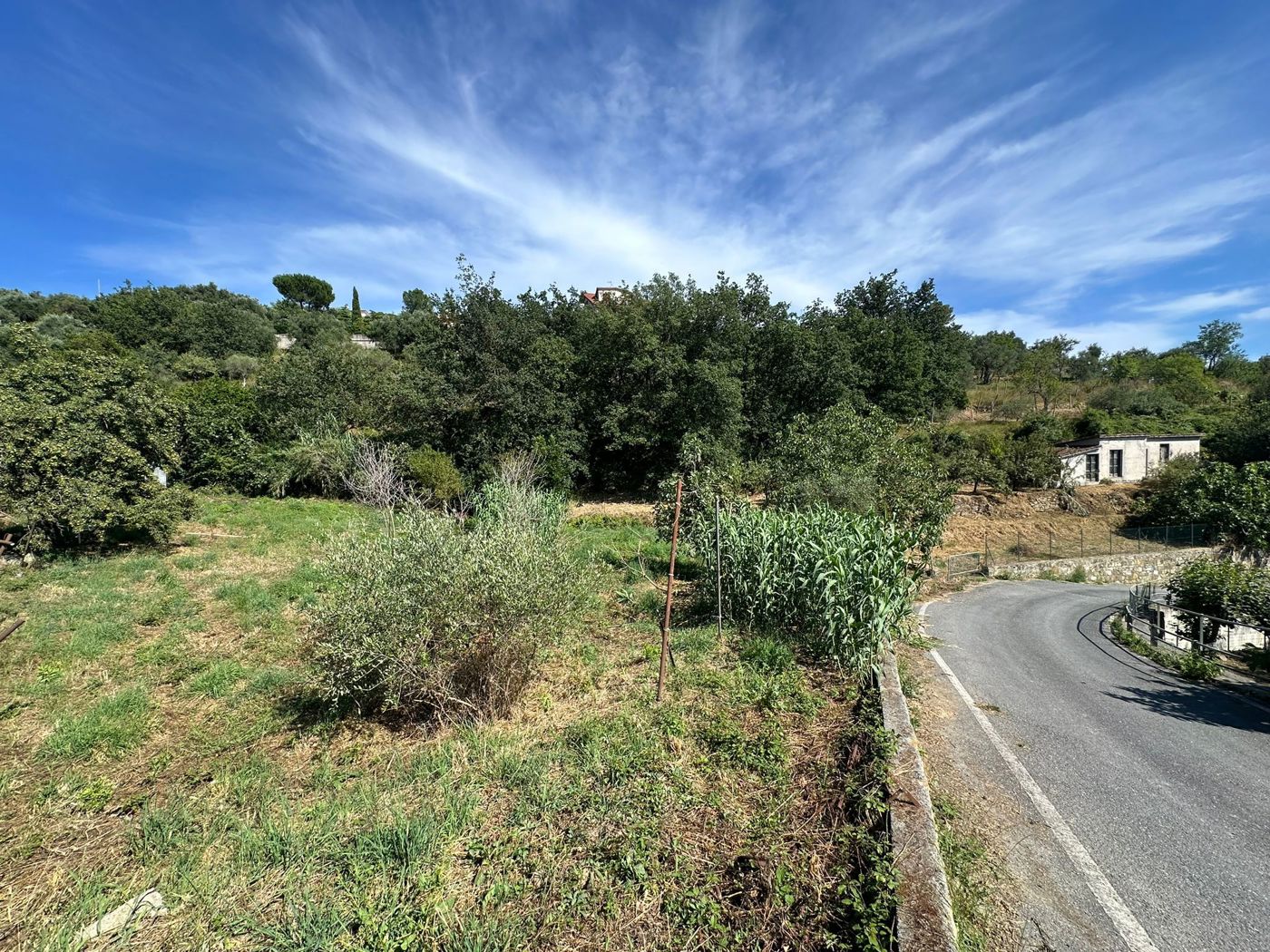 Terreno Edificabile in vendita a Imperia