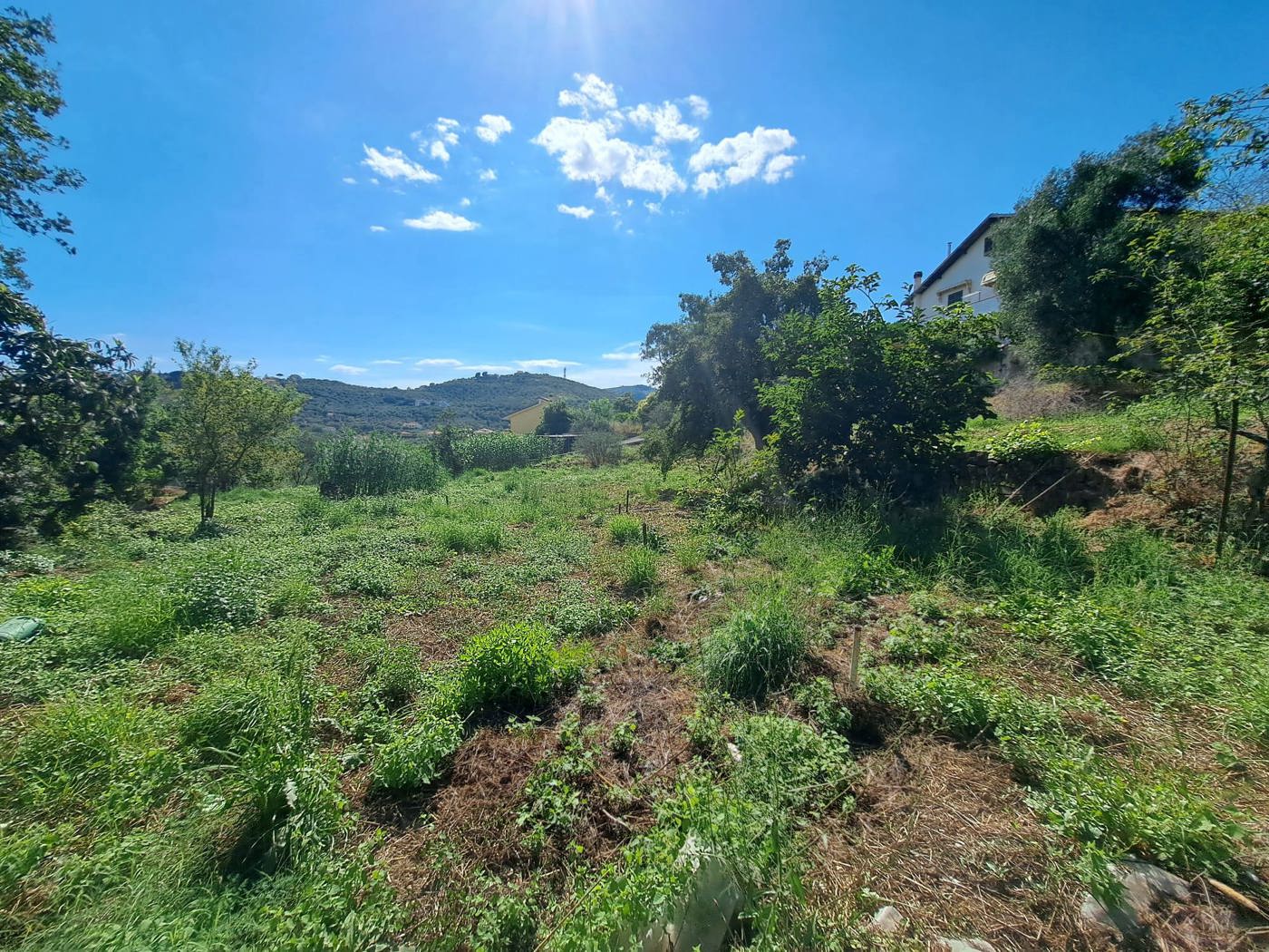 Terreno Edificabile in vendita a Imperia