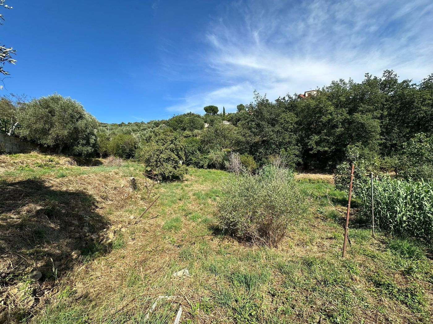 Terreno Edificabile in vendita a Imperia