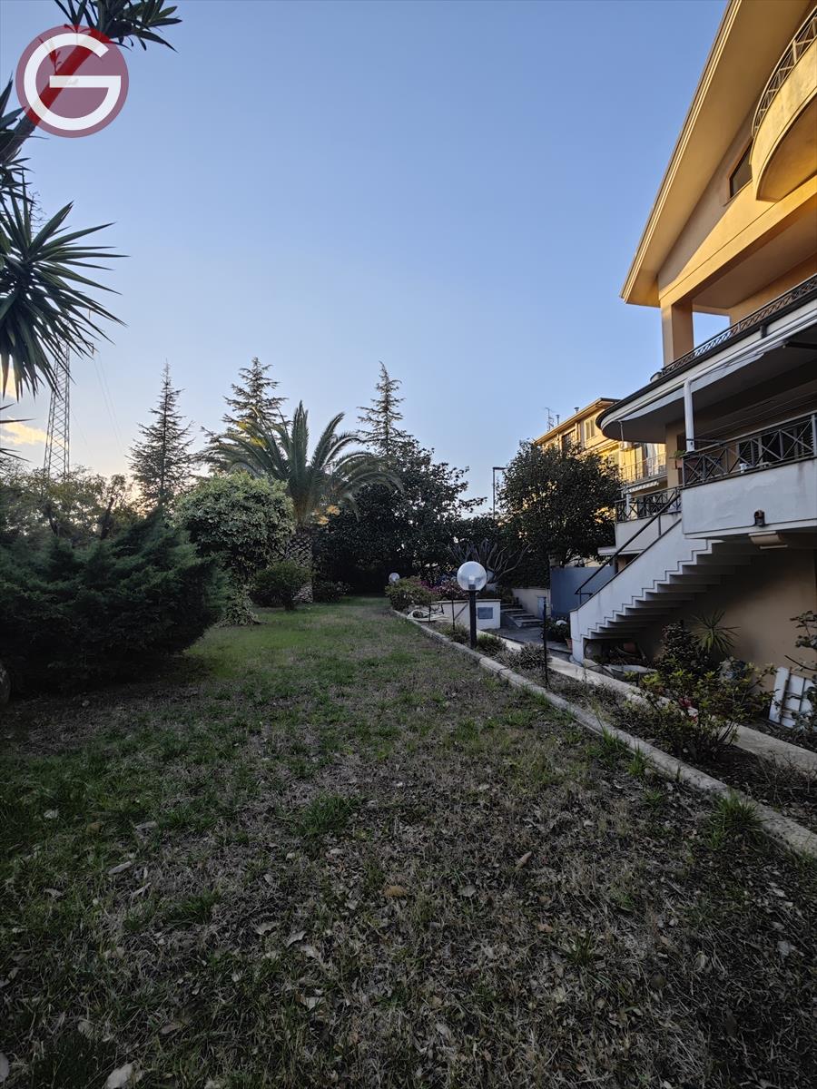 Villa con giardino, Cittanova centrale