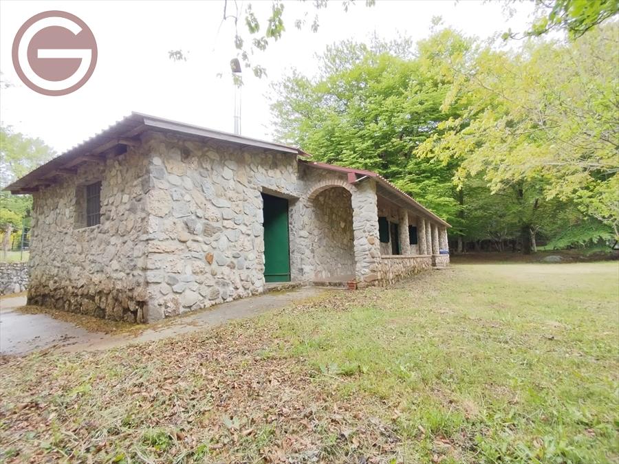 Casa indipendente con giardino, Molochio periferia