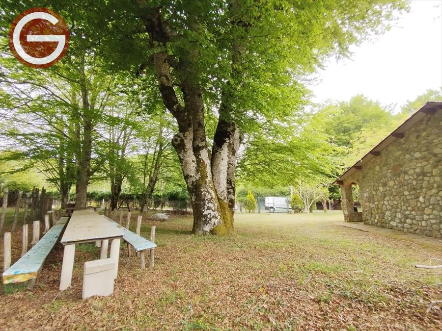 Casa indipendente con giardino, Molochio periferia