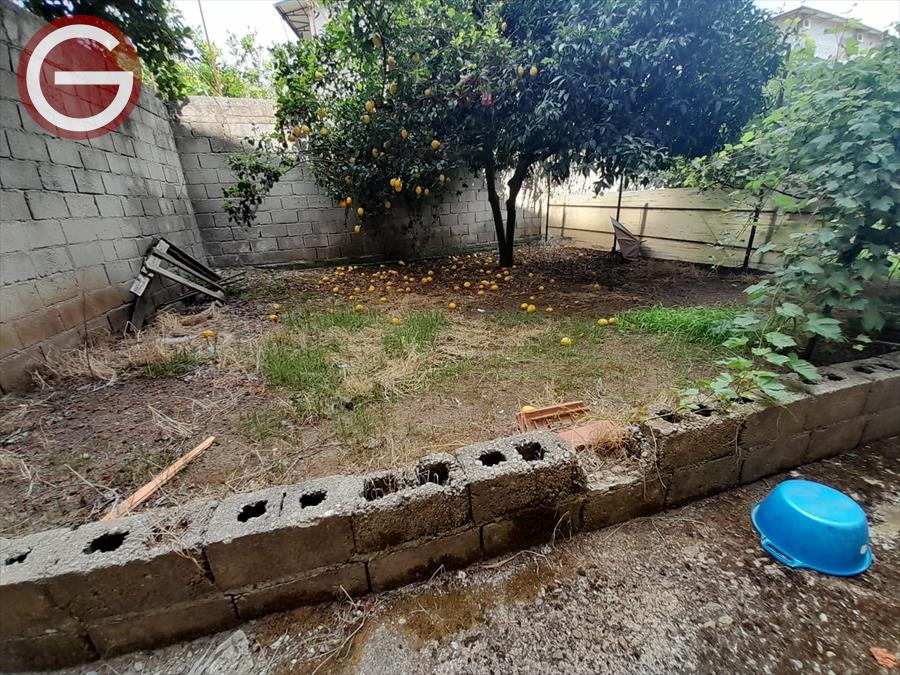 Magazzino con giardino, Cinquefrondi centrale