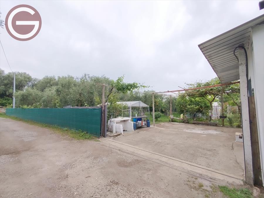 Terreno con giardino, Taurianova periferia