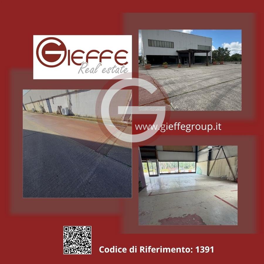 Locale commerciale in affitto, Cittanova periferia