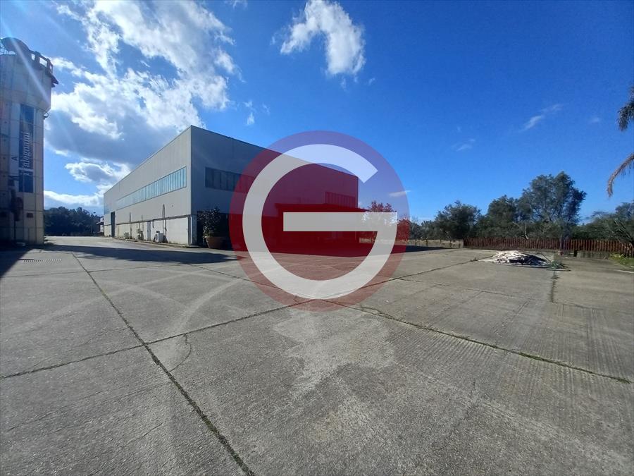 Locale commerciale in affitto, Cittanova periferia