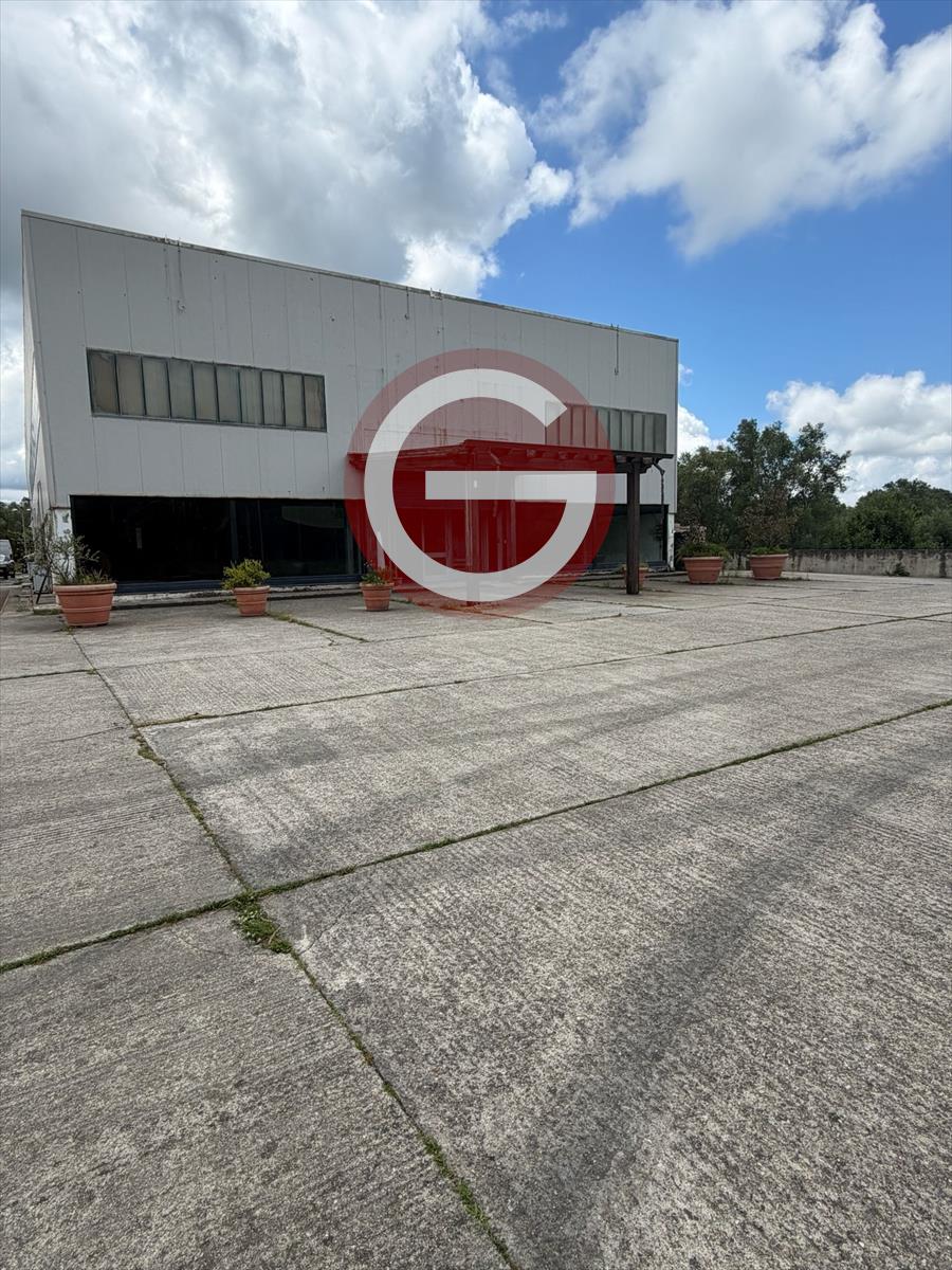 Locale commerciale in affitto, Cittanova periferia