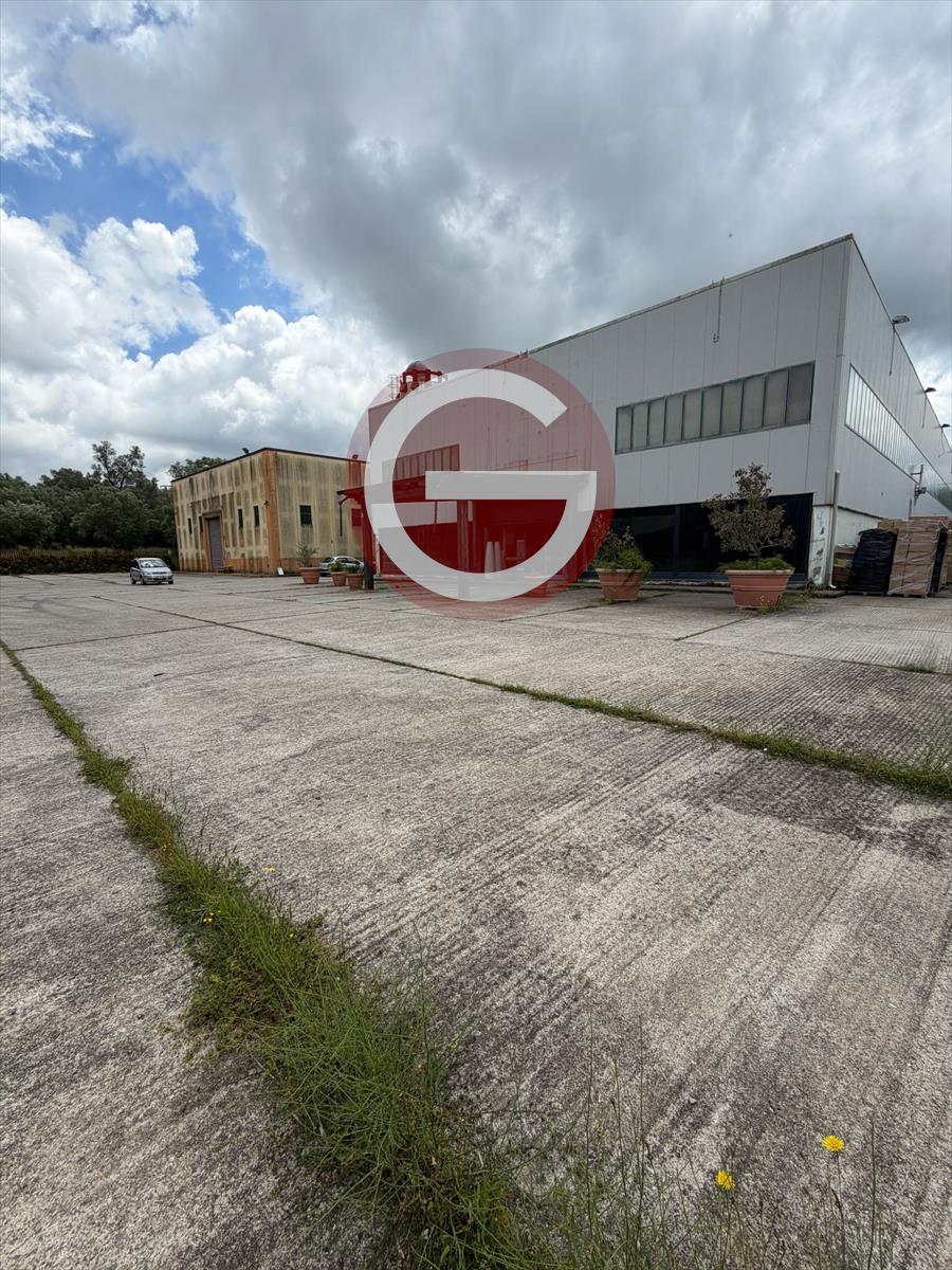 Locale commerciale in affitto, Cittanova periferia