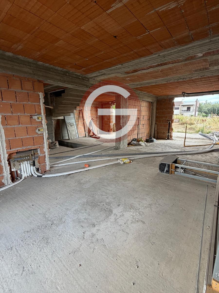 Villa con giardino, Cittanova semicentrale
