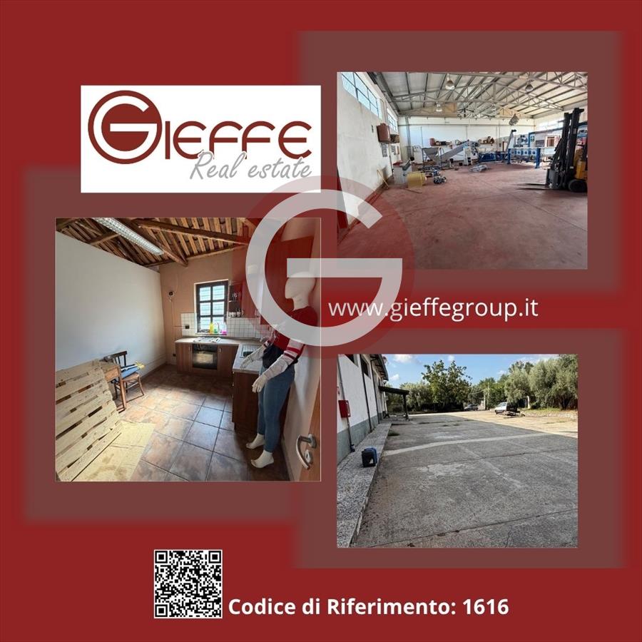 Capannone in affitto, Cittanova periferia