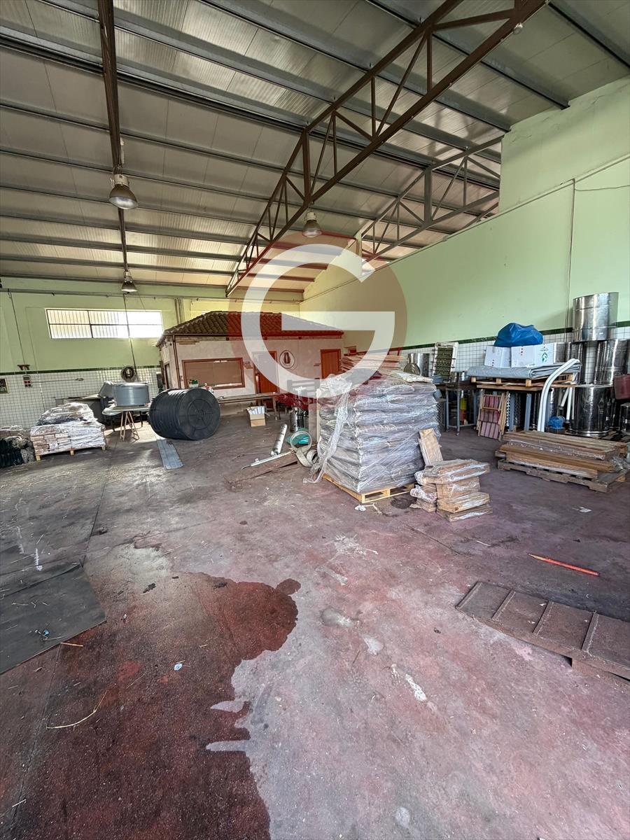 Capannone in affitto, Cittanova periferia