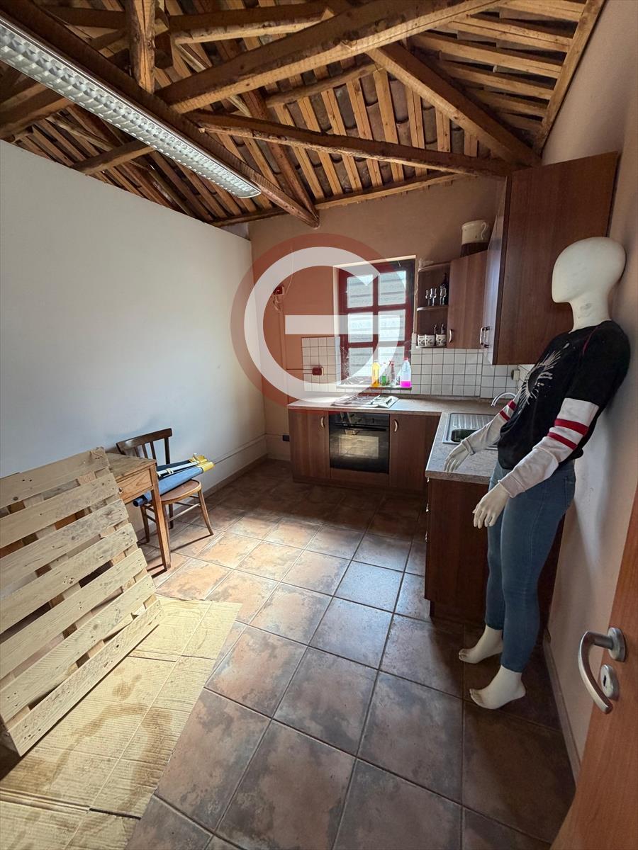 Capannone in affitto, Cittanova periferia