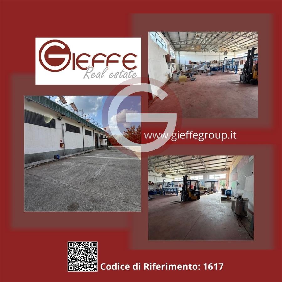 Capannone in affitto, Cittanova periferia