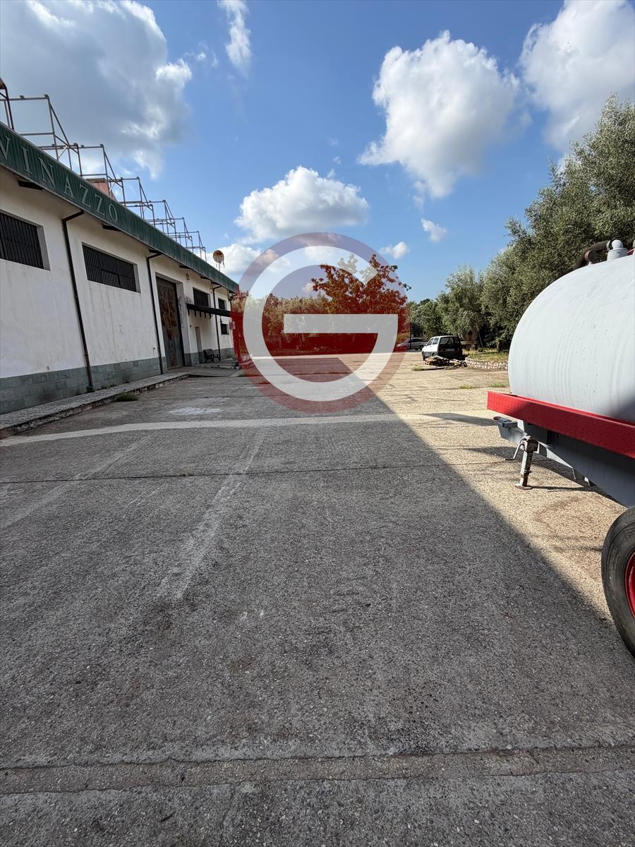 Capannone in affitto, Cittanova periferia