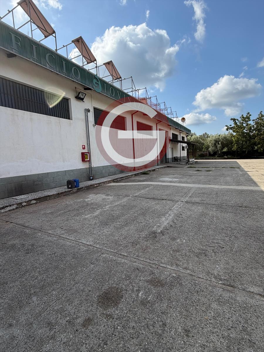 Capannone in affitto, Cittanova periferia