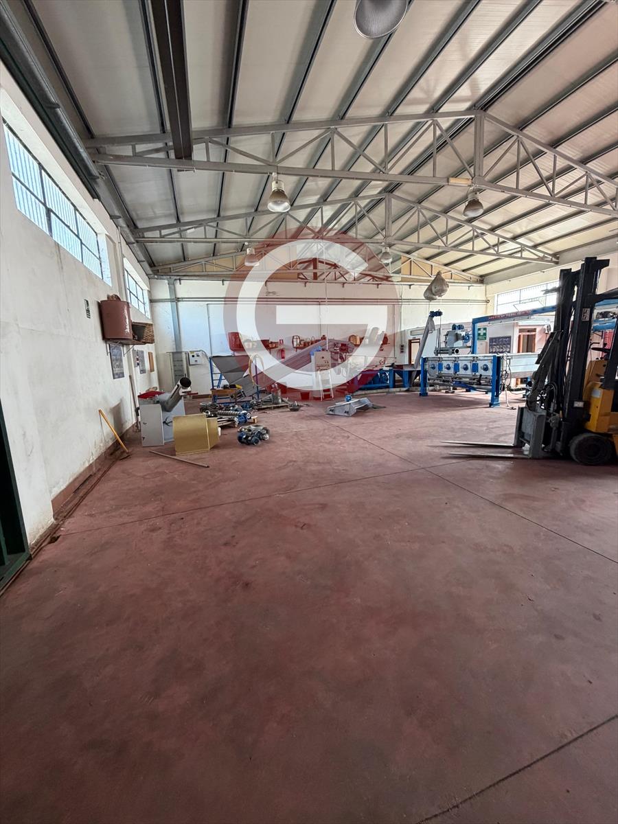 Capannone in affitto, Cittanova periferia