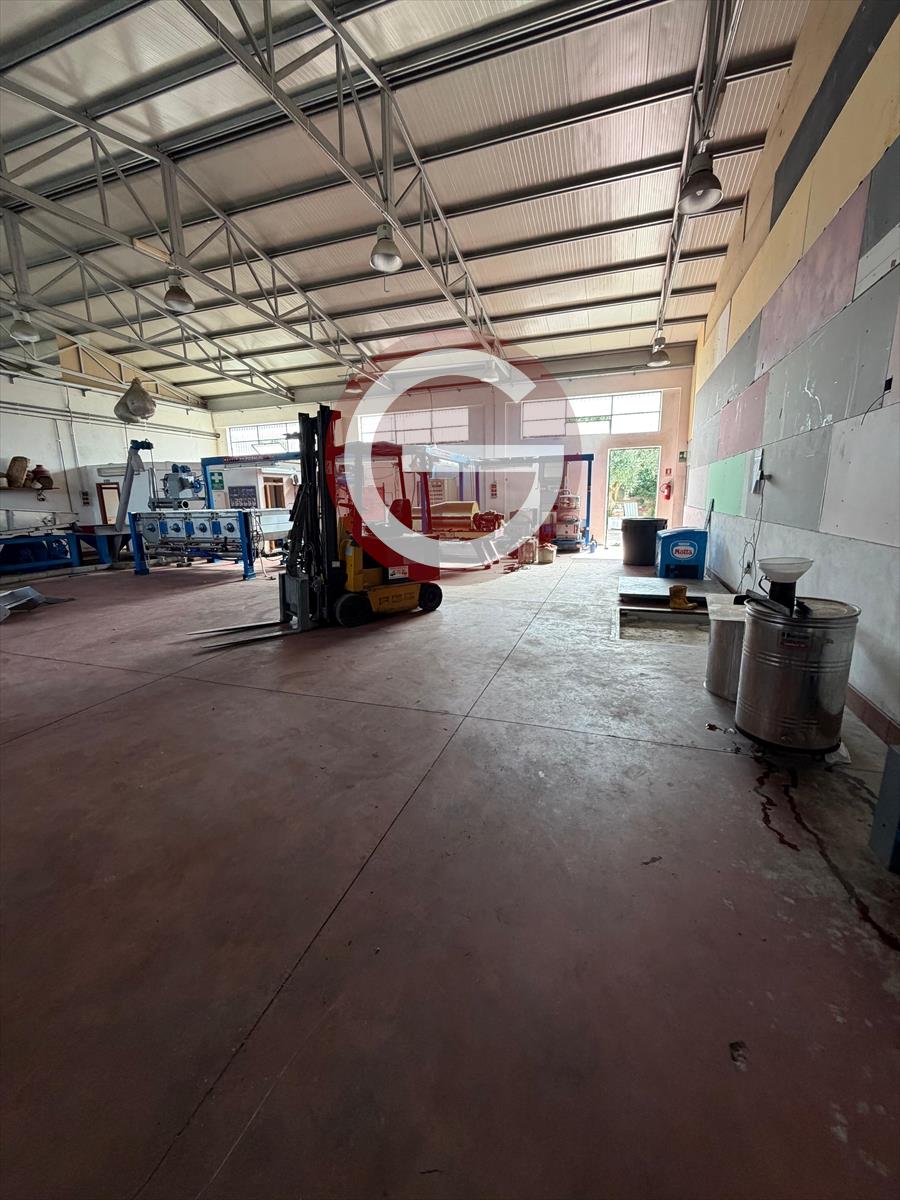 Capannone in affitto, Cittanova periferia
