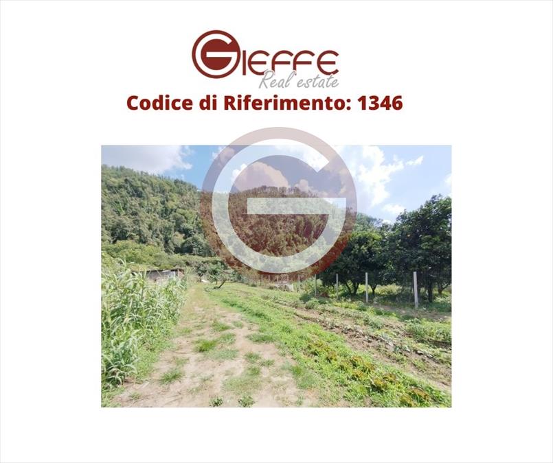 Terreno in vendita, Cittanova periferia