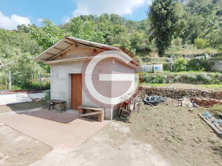 Terreno in vendita, Cittanova periferia