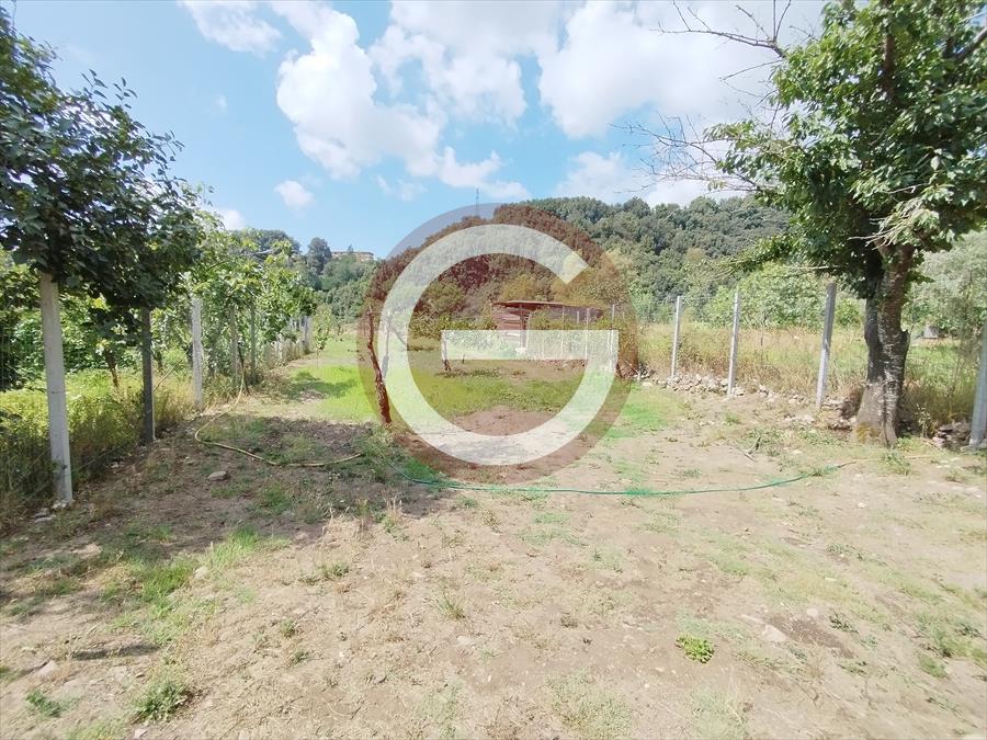 Terreno in vendita, Cittanova periferia