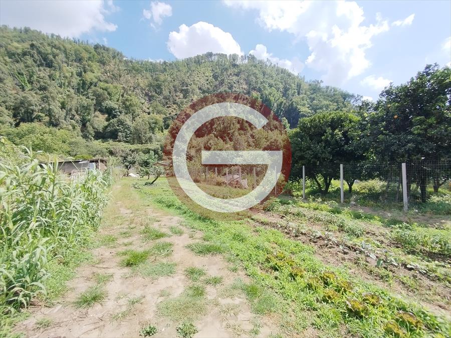 Terreno in vendita, Cittanova periferia