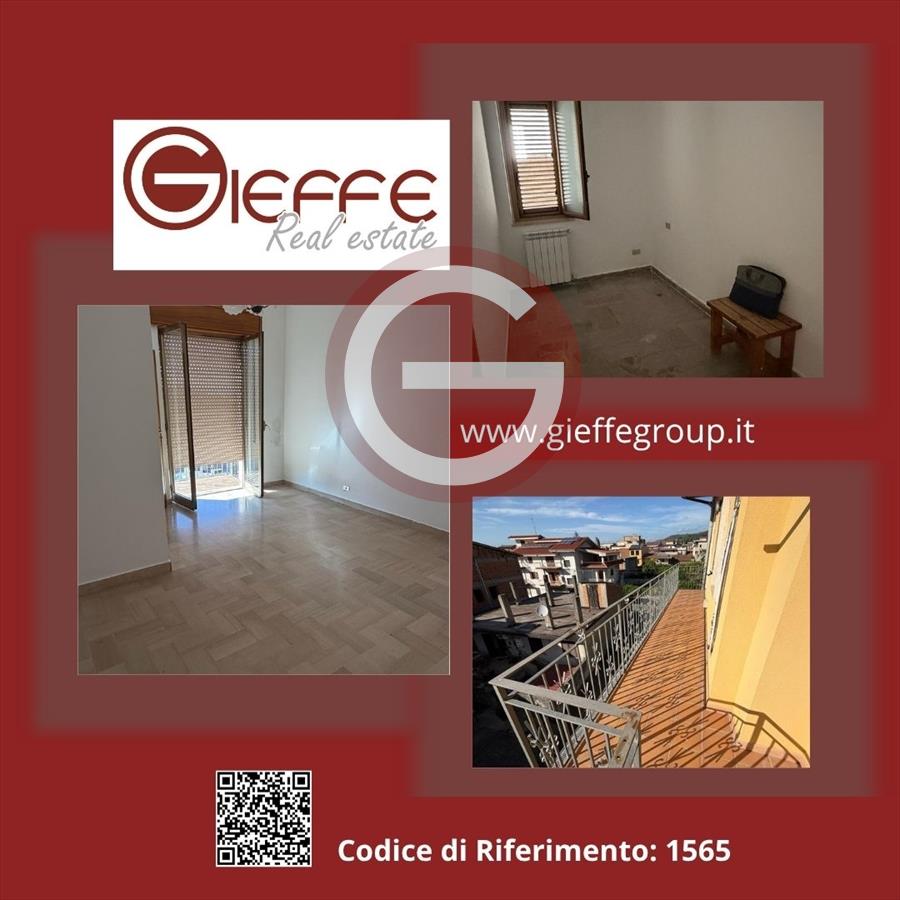Bilocale in affitto, Cittanova semicentrale