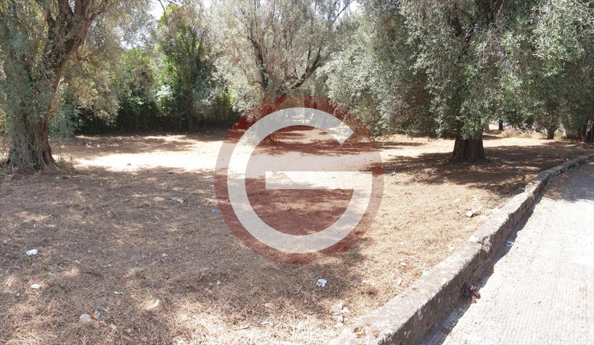 Terreno in vendita, Anoia zona semicentrale