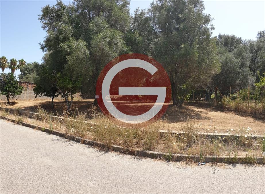 Terreno in vendita, Anoia zona semicentrale