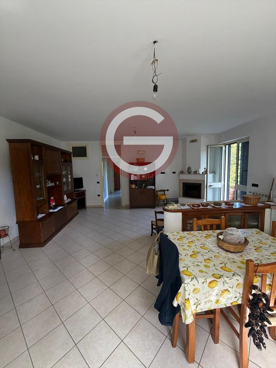 Casa indipendente in vendita, Cittanova semicentrale