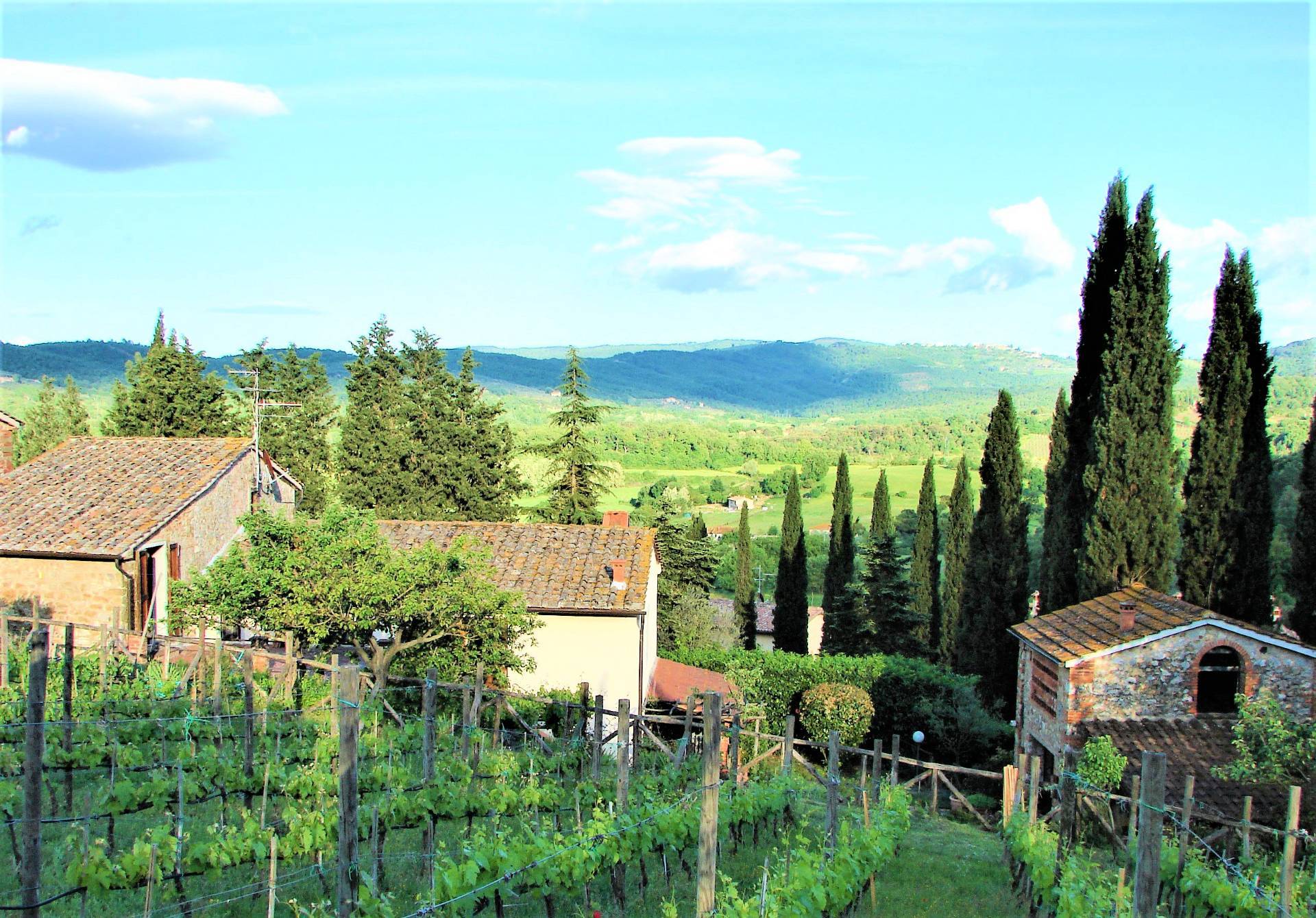 Rustico con terrazzo, Bucine capannole