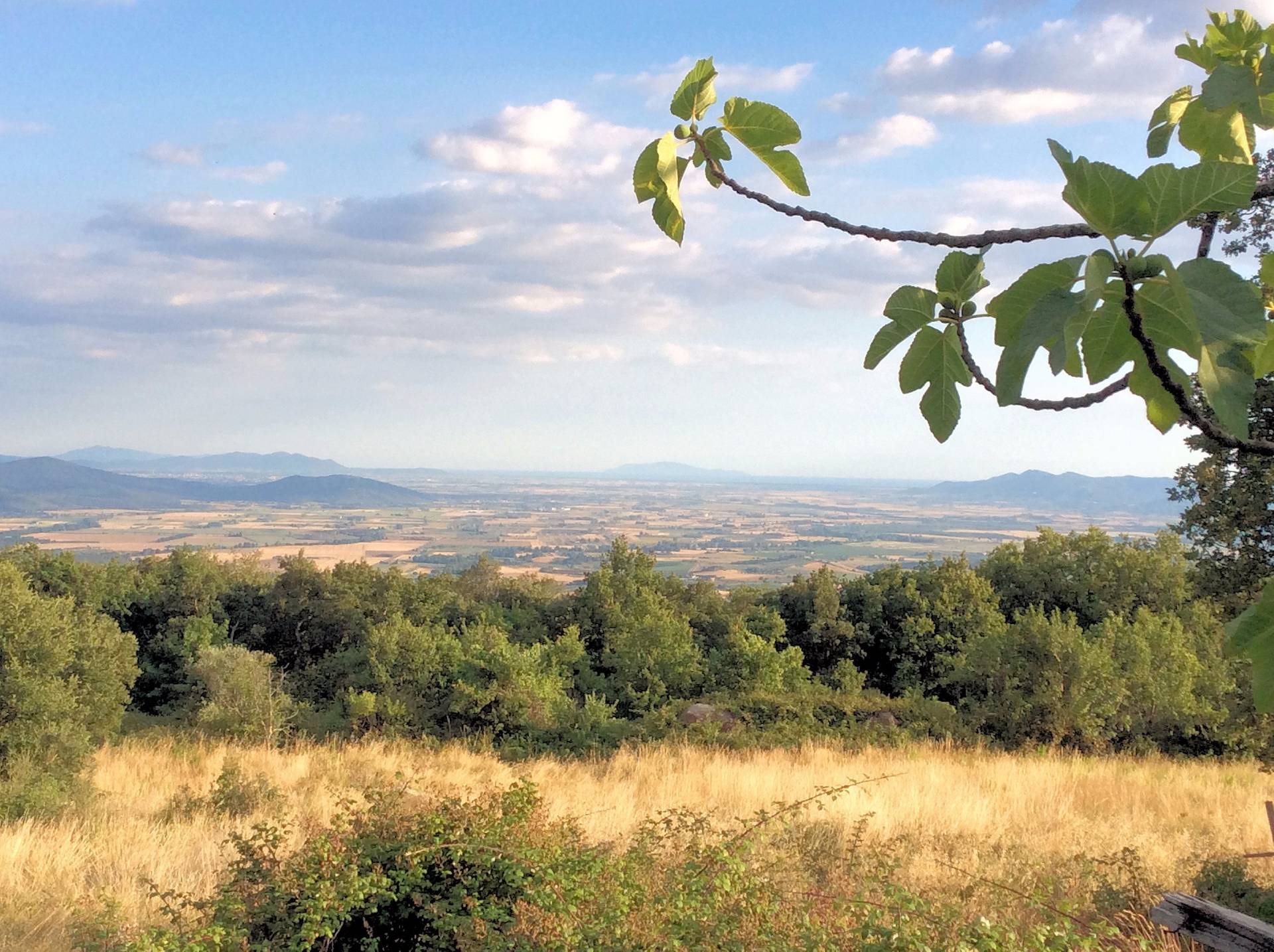 Rustico da ristrutturare, Roccastrada roccatederighi