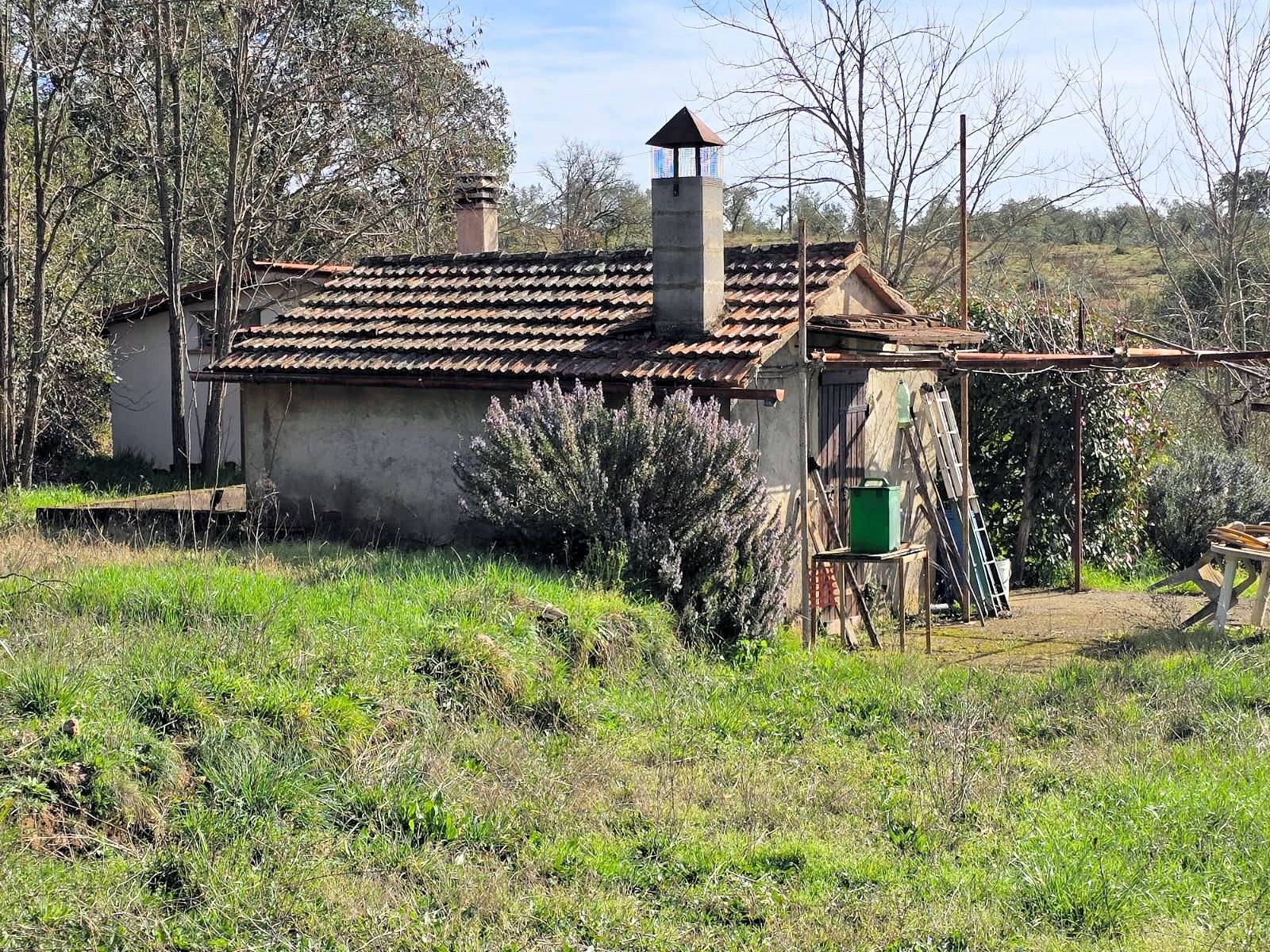 immagine annuncio 2 di 10