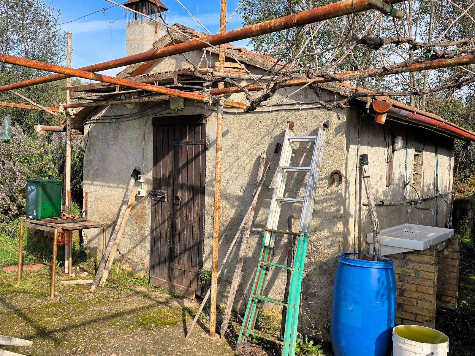 immagine annuncio 6 di 10