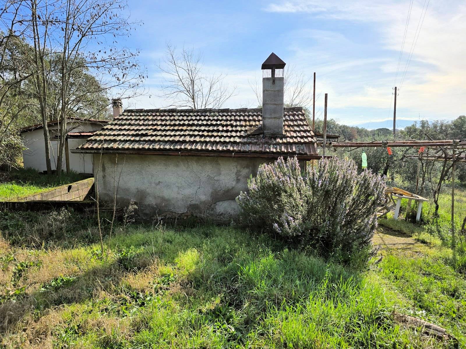 immagine annuncio 8 di 10