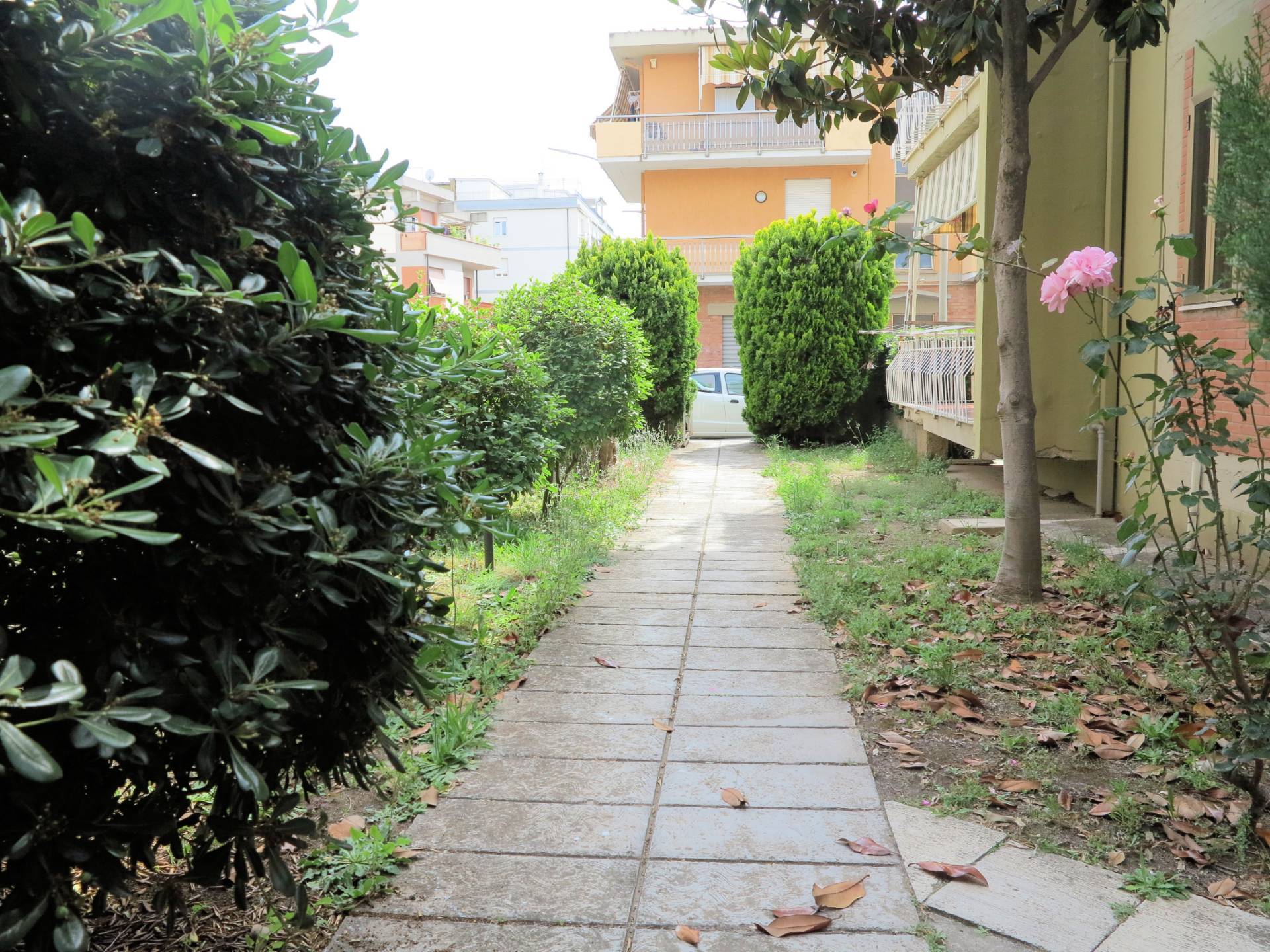 immagine annuncio 4 di 6