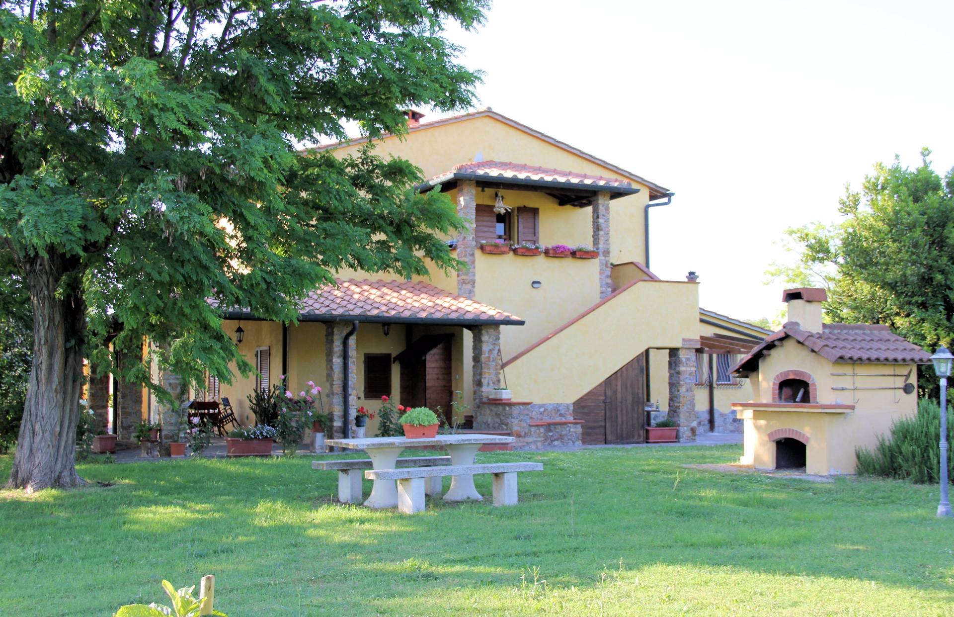 immagine annuncio 3 di 6