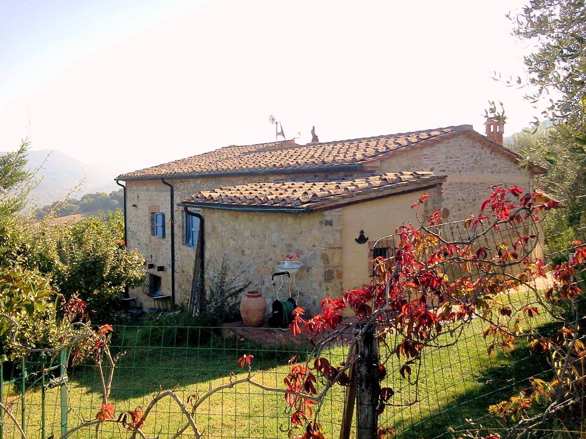 immagine annuncio 1 di 6