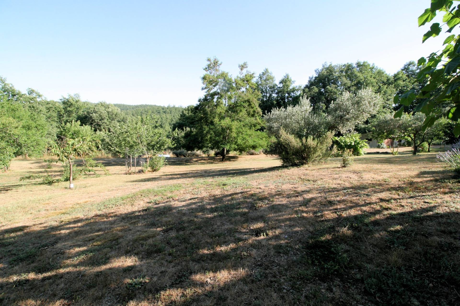 Rustico in stile Toscano con dependances immerso nel bosco in vendita a Montieri, Boccheggiano