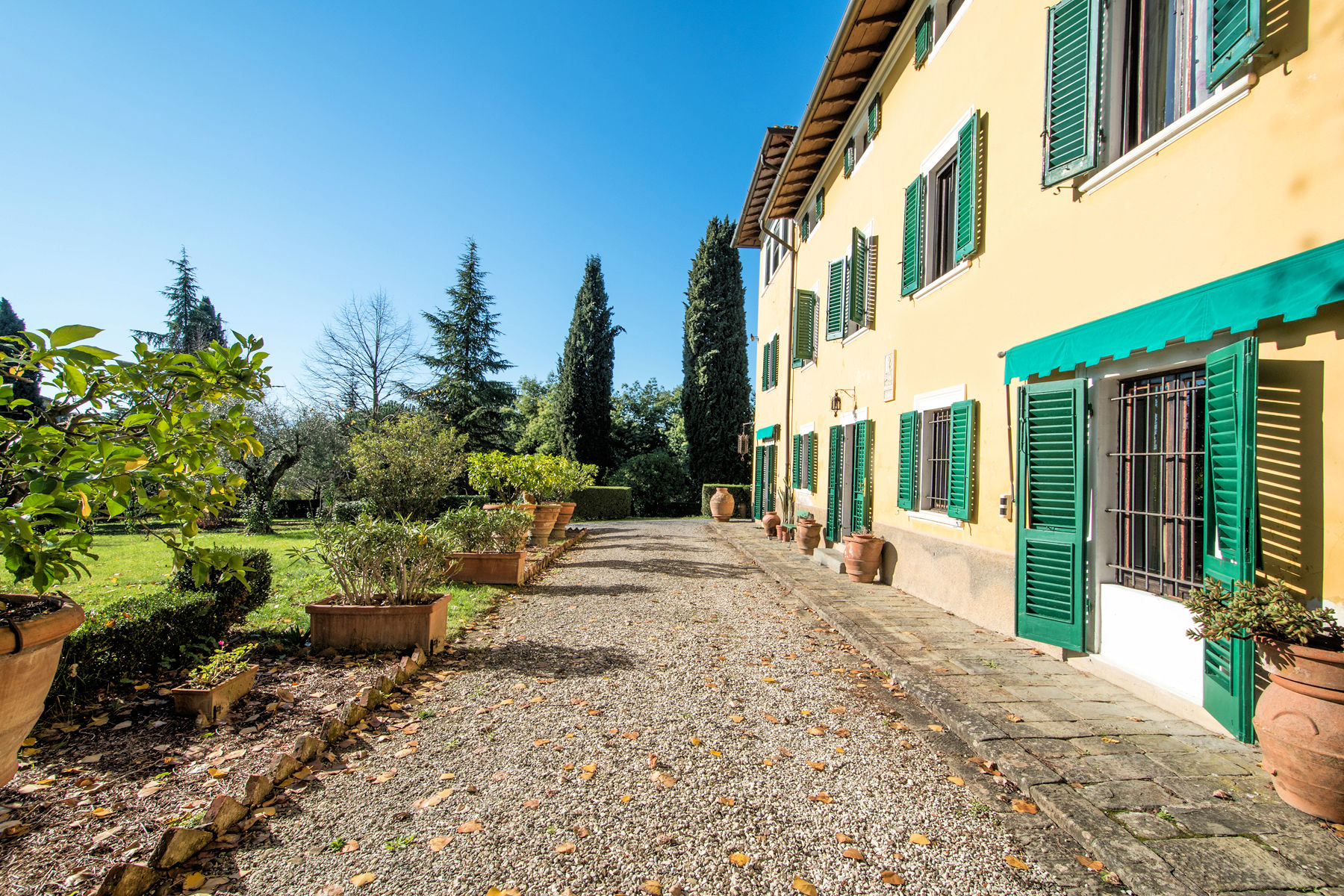 immagine annuncio 5 di 6