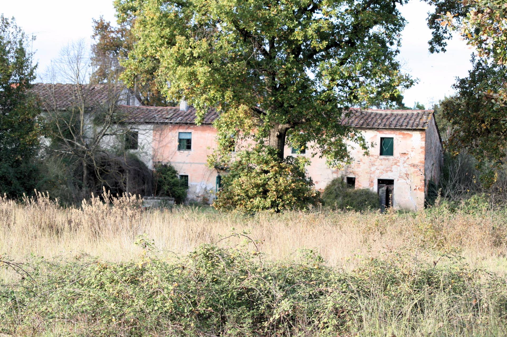 immagine annuncio 4 di 6