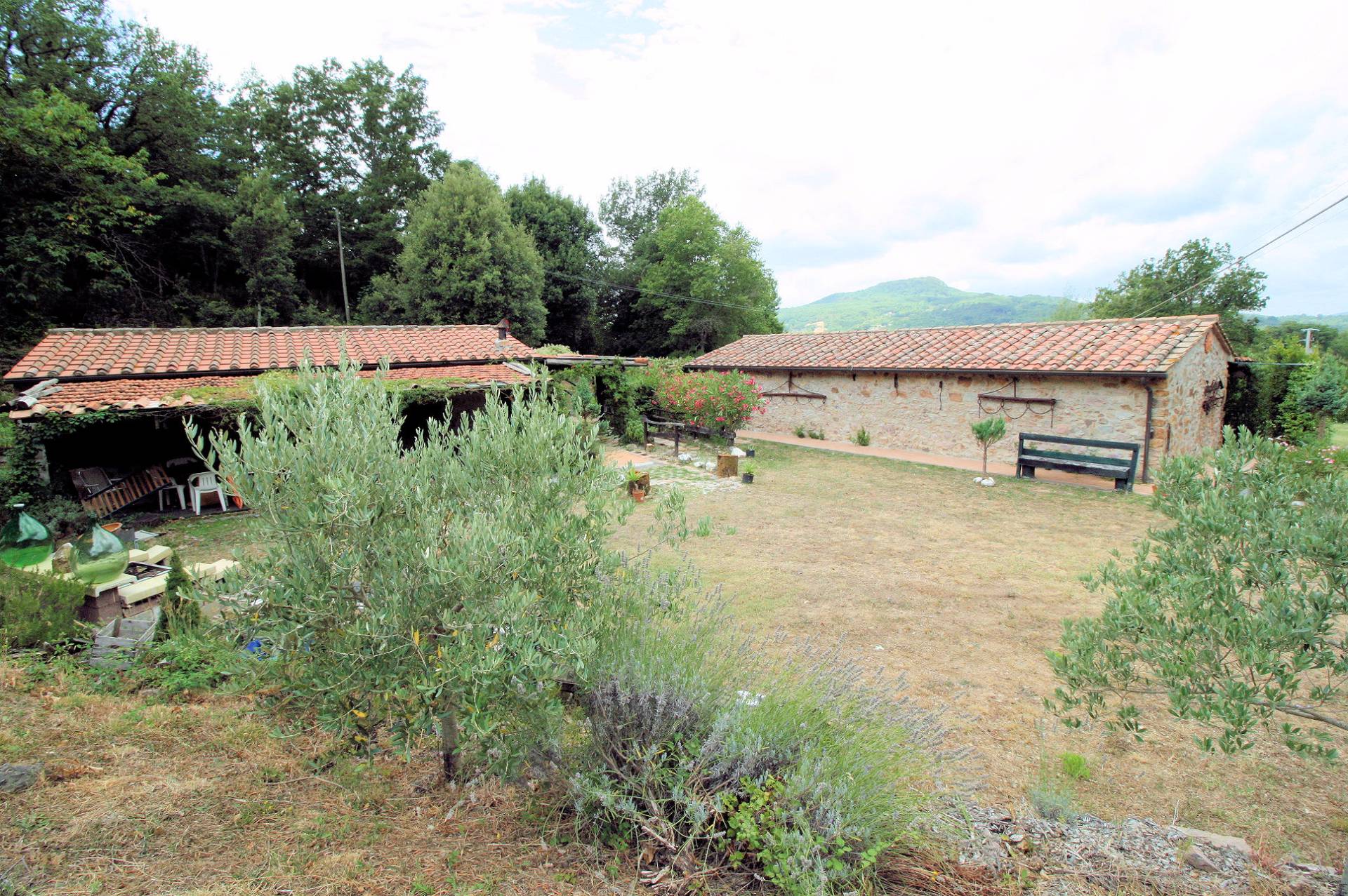 Rustici con vista panoramica in vendita a Roccastrada, Sassofortino