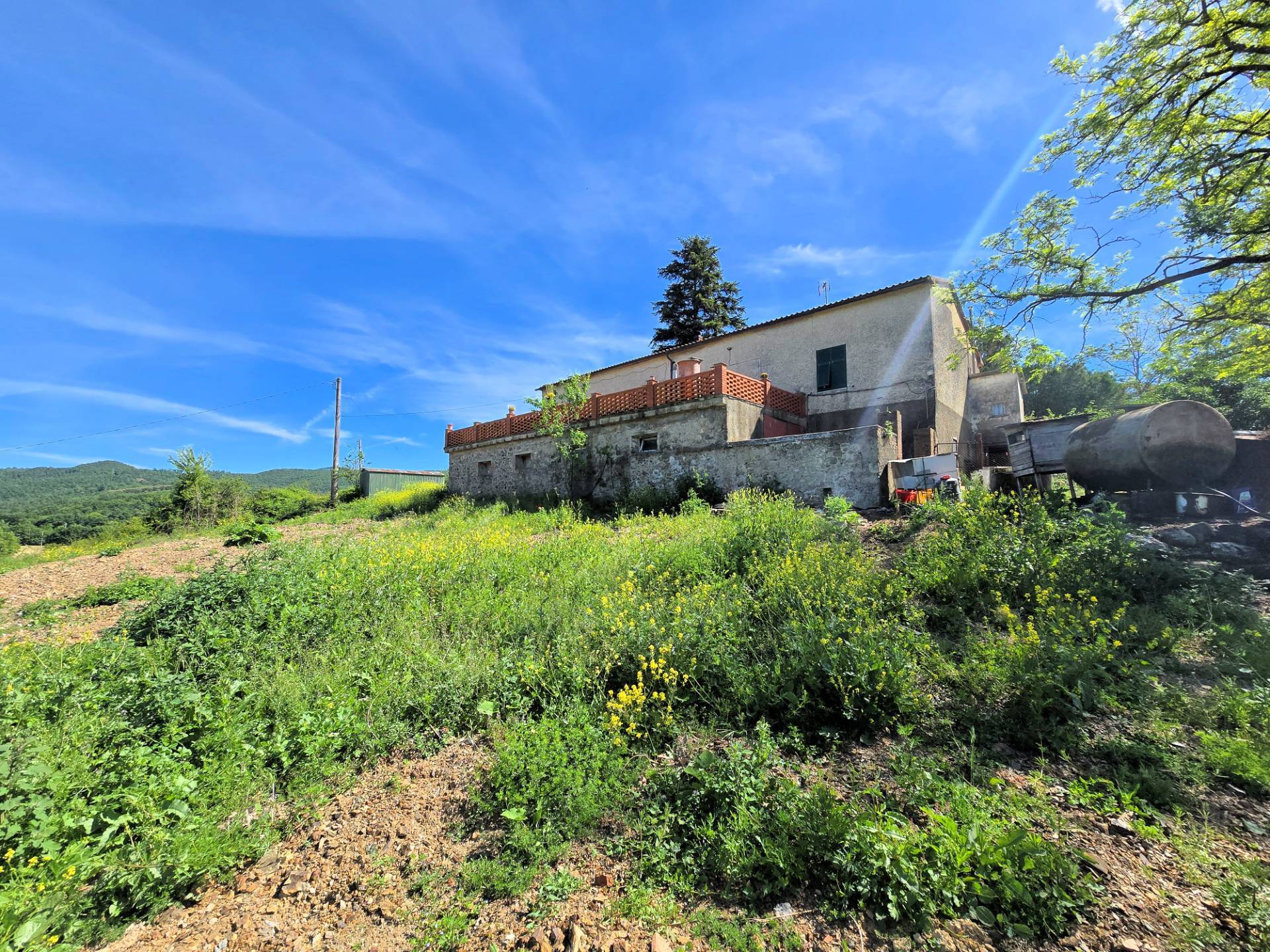 Azienda agricola in posizione collinare e panoramica in vendita a Massa Marittima