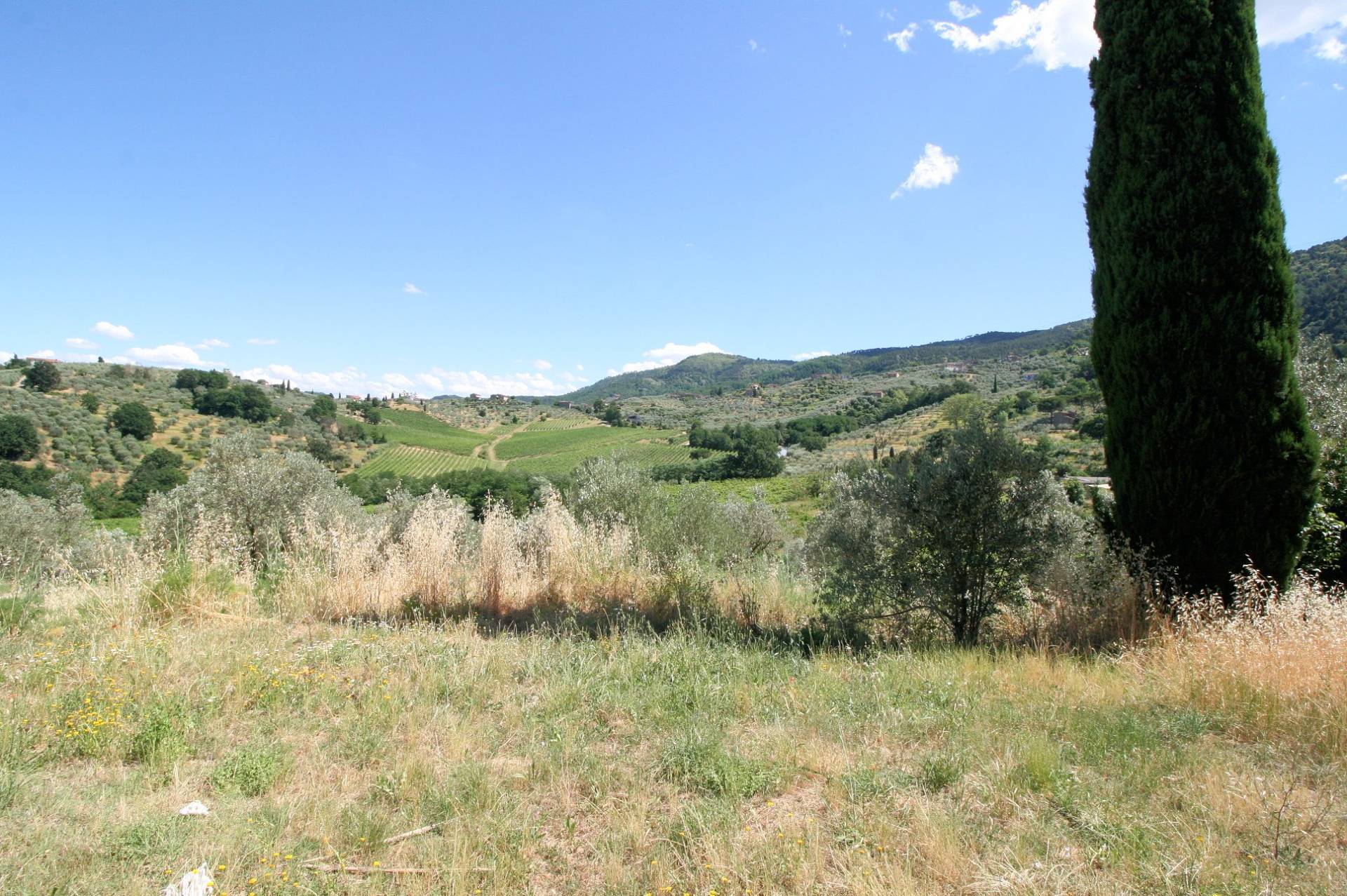 Rustico da ristrutturare in posizione collinare in vendita a Quarrata