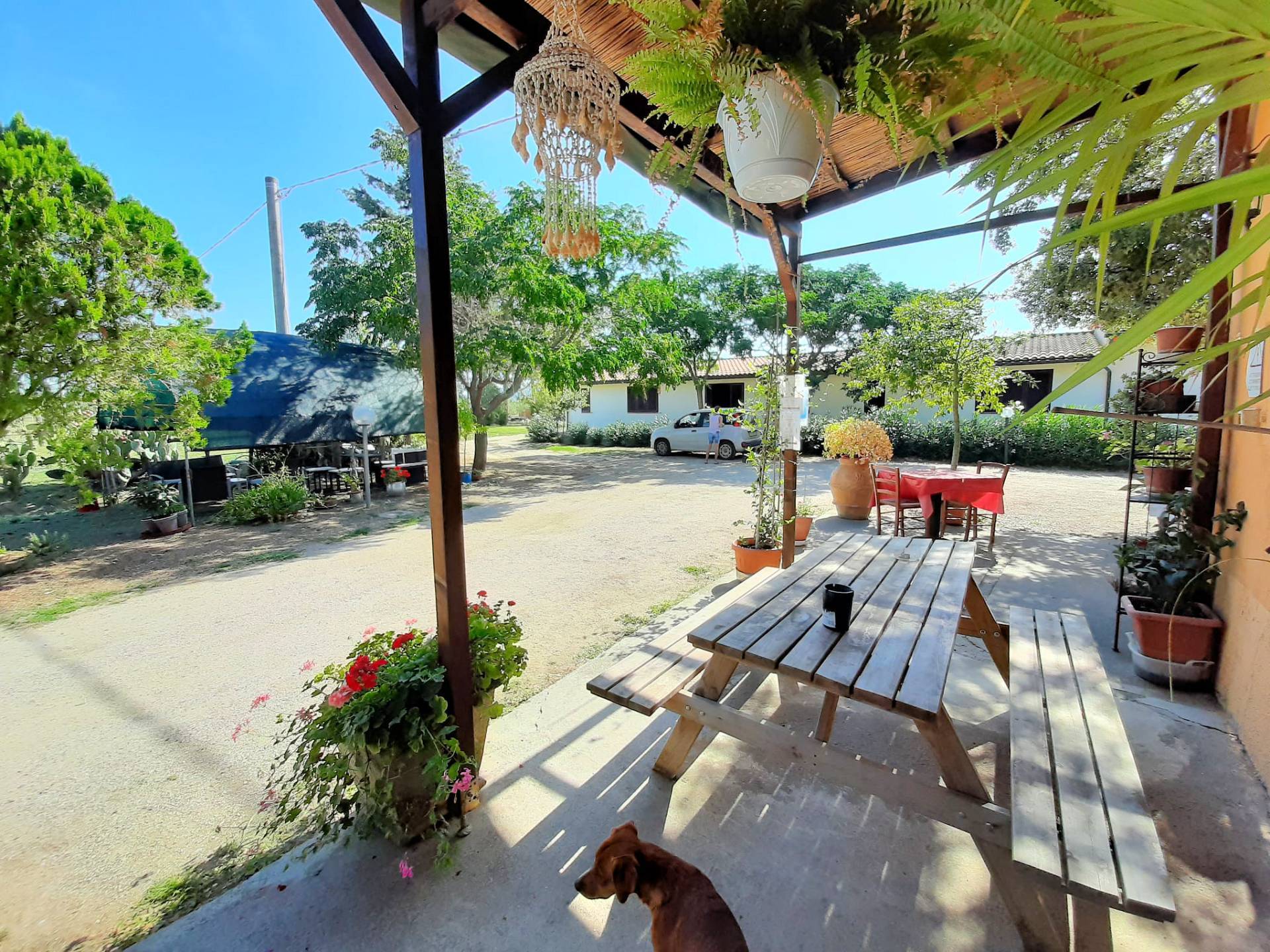 Agriturismo nella campagna Maremmana in vendita a Roccastrada