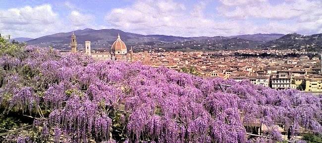 Appartamenti di varie metrature e tipologie in citt in vendita a Firenze