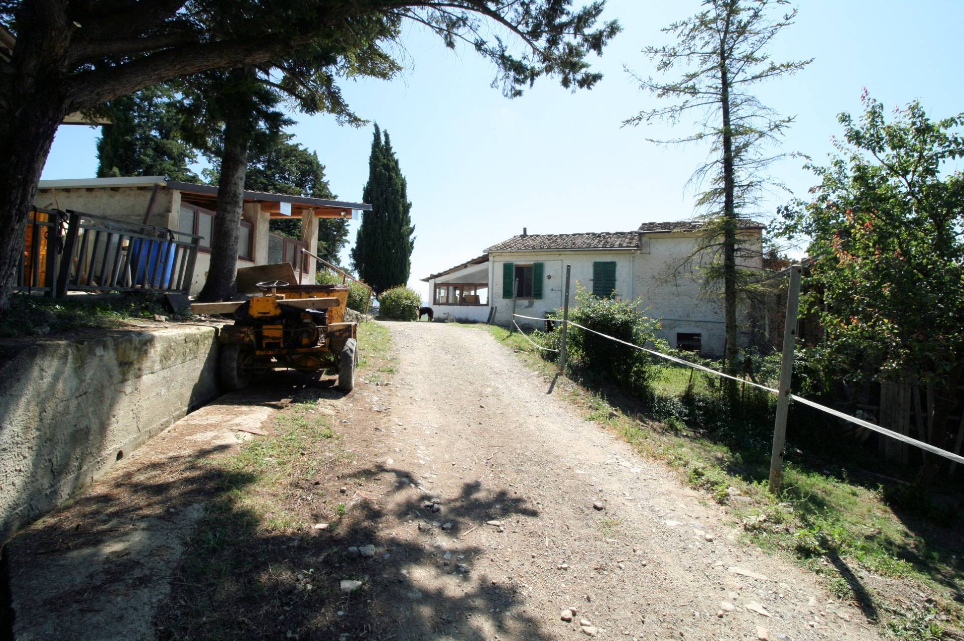 Podere con vista lago per gli amanti dei cavalli in vendita a Barberino di Mugello