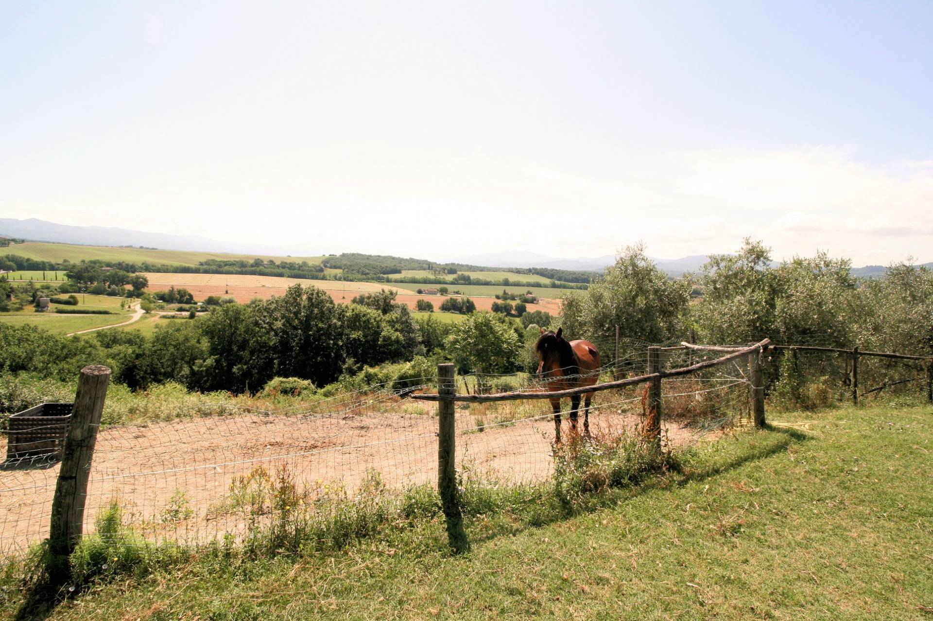 Podere con vista lago per gli amanti dei cavalli in vendita a Barberino di Mugello
