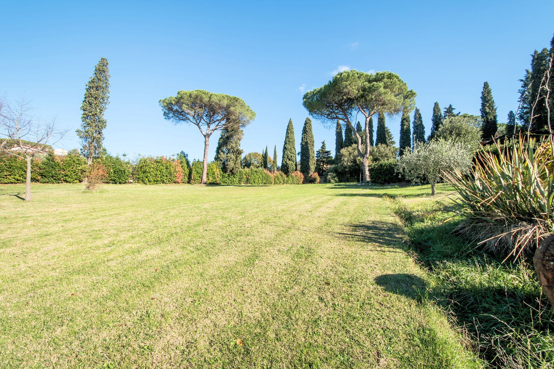 Antica villa padronale con parco in vendita a Pescia