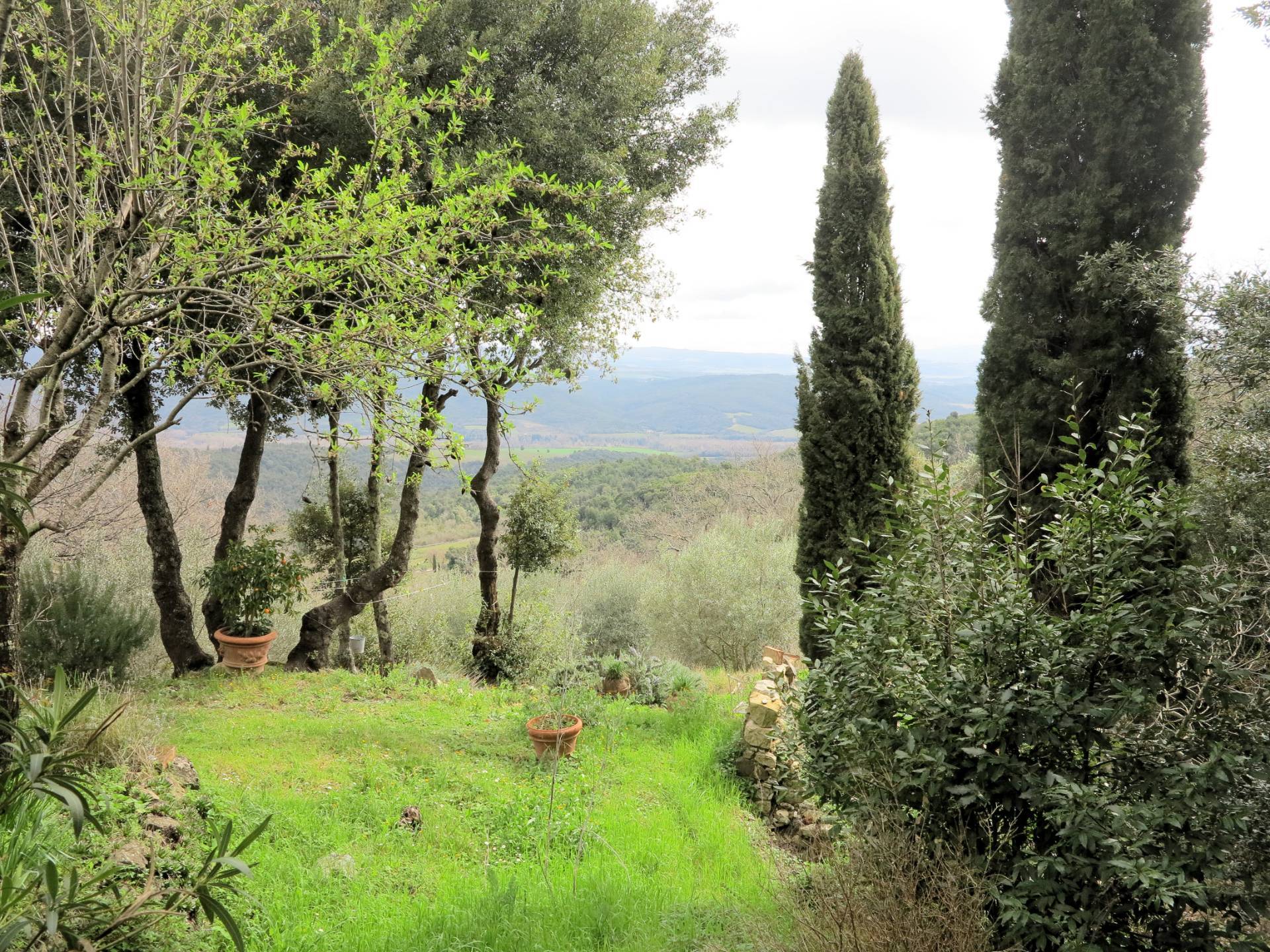 Terratetto libero su tre lati con giardino in vendita a Civitella Paganico