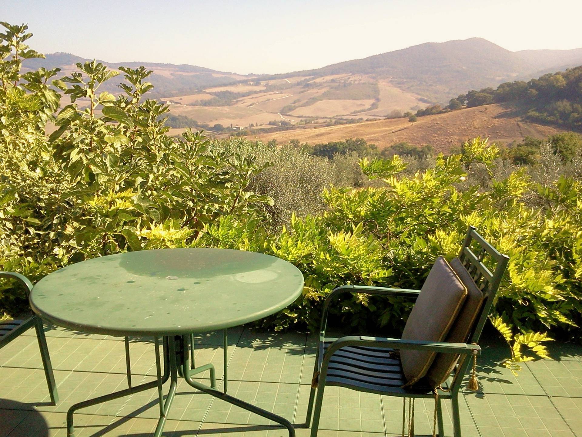 Azienda agricola in posizione panoramica in vendita a Radicondoli